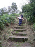 Descending the stepped footpath through the Keal Carr nature reserve.