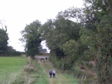Approaching the B1195 on Bridleway 133.