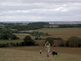 The group ascend Wood Hill.