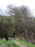 Obstructed footbridge on footpath Huttoft 11.