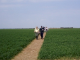 Walking along footpath Huttoft 12.