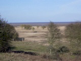 Looking east towards the sea over land cleared of scrub.